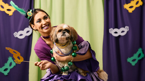 Folia sim, stress não! Saiba o que fazer para manter os seus pets seguros no Carnaval