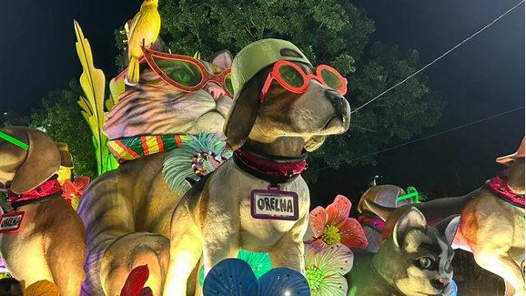 Cão Orelha é homenageado em desfile da Mocidade no Carnaval do Rio
