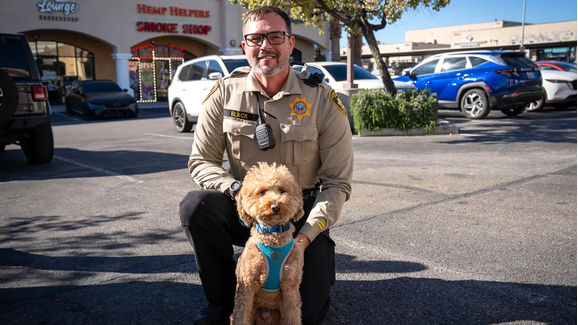 Um final feliz! Cão abandonado no aeroporto de Las Vegas encontra uma nova família