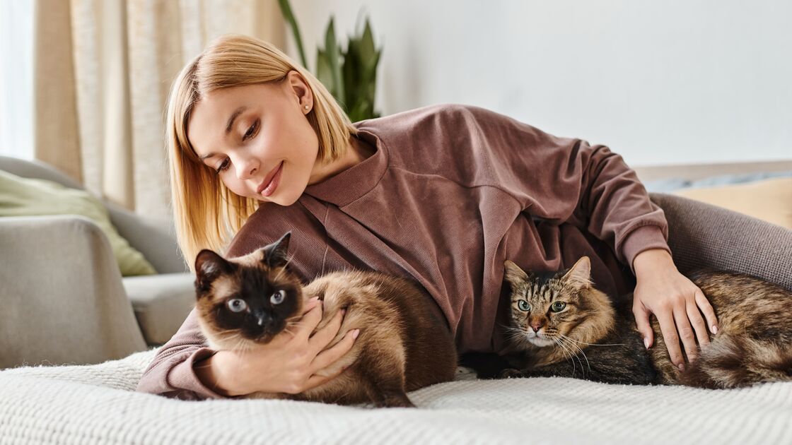 Quatro patas, muitos benefícios. Saiba os que os especialistas dizem sobre viver com animais de estimação