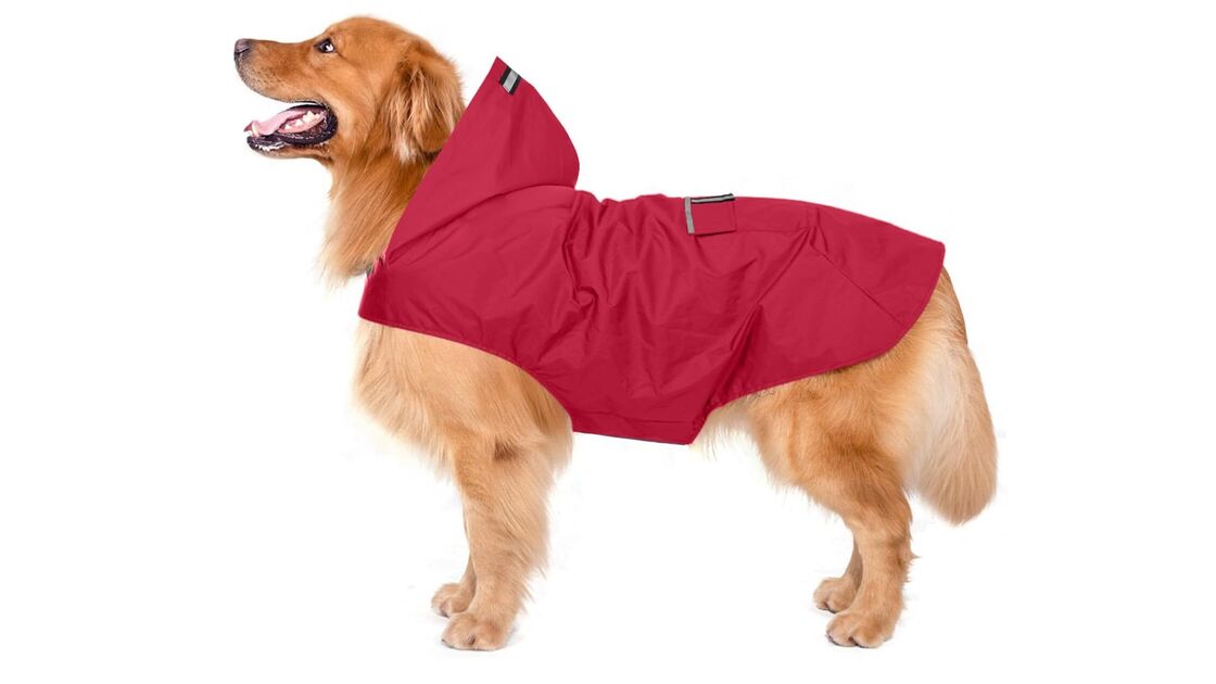 Proteja o seu cão da chuva com esta capa, mantendo-o seco e limpo