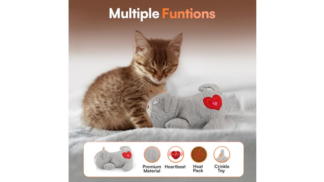 Gatinho com peluche para ajudar na adaptação à nova rotina