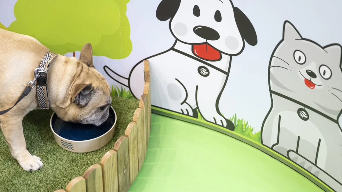 EPAL abre portas aos animais com novo espaço na Avenida da Liberdade