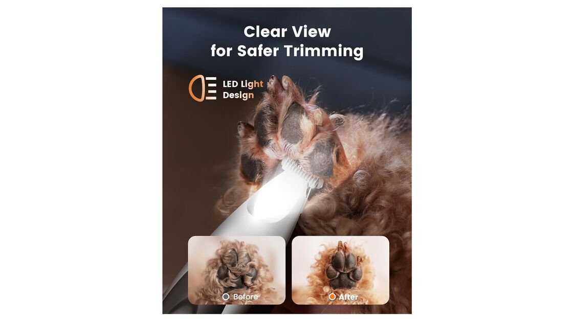 Aparar o pelo das patas do cão previne infeções