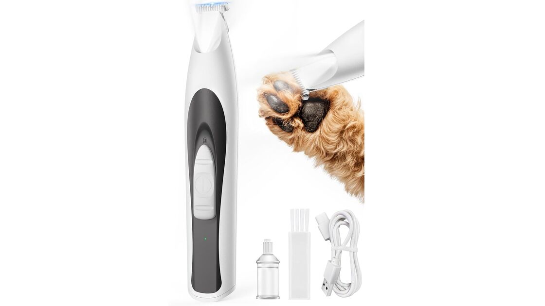 Aparar o pelo entre as almofadinhas do cão evita infeções e acumulação de detritos