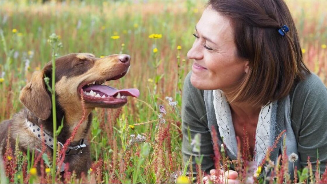 Uma estrela! Fátima Lopes aparece ao lado do seu Brownie, em nova campanha
