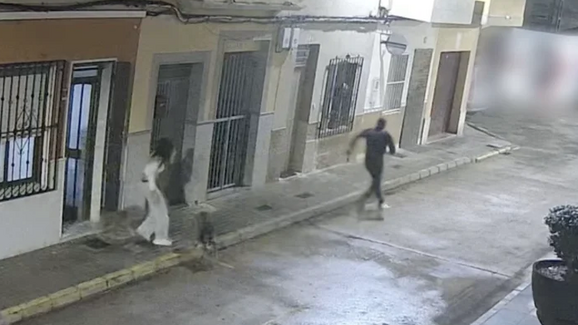 Espanha: Cão evita tentativa de rapto da tutora e torna-se um herói