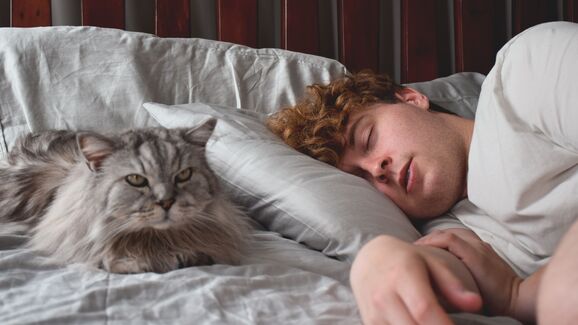 O seu gato costuma dormir consigo? Conheça as vantagens e desvantagens desta companhia noturna