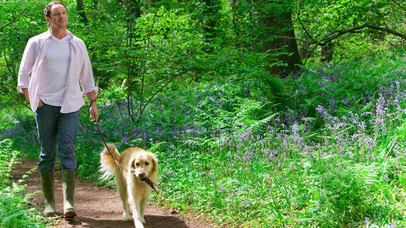 A Primavera está a chegar. Saiba como aproveitar melhor os passeios com o seu cão