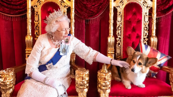 A Burberry lançou uma coleção inspirada na Rainha Isabel II. E os corgis da monarca são os protagonistas