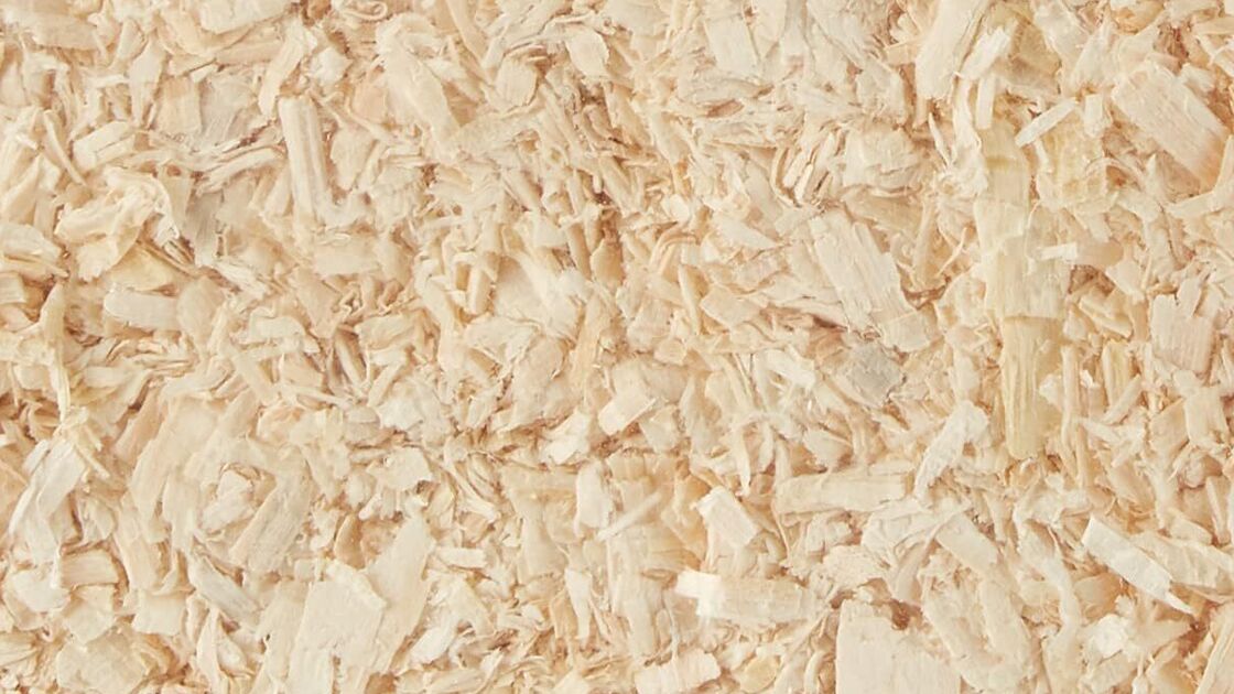 A areia vegetal promove o conforto, atividade e saúde do hamster