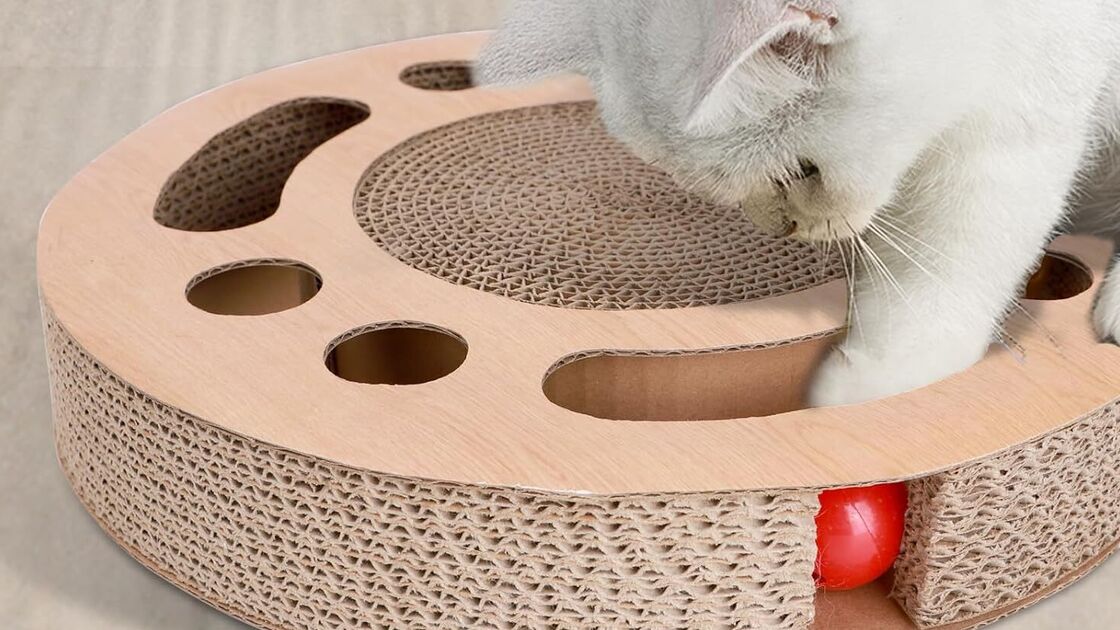 Gato branco diverte-se com brinquedo interativo, combatendo o tédio e promovendo atividade