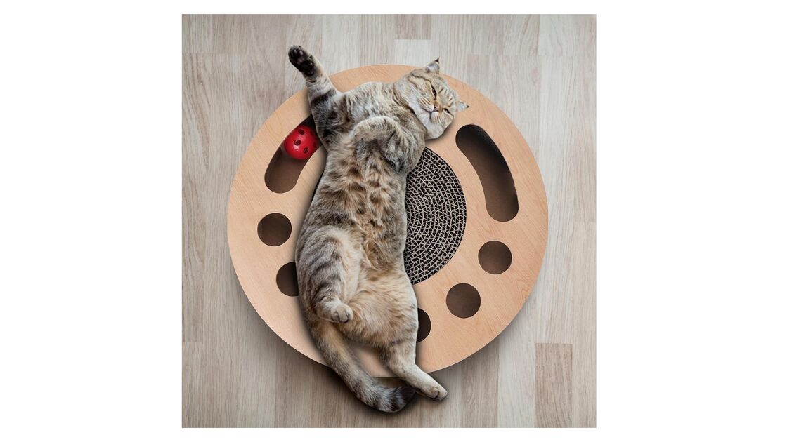 Gato relaxa em brinquedo interativo, combatendo o tédio e estimulando atividade.
