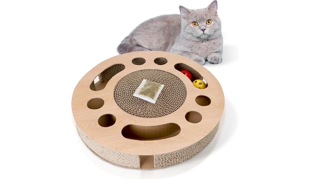 Gato interage com brinquedo para evitar tédio e arranhões em móveis