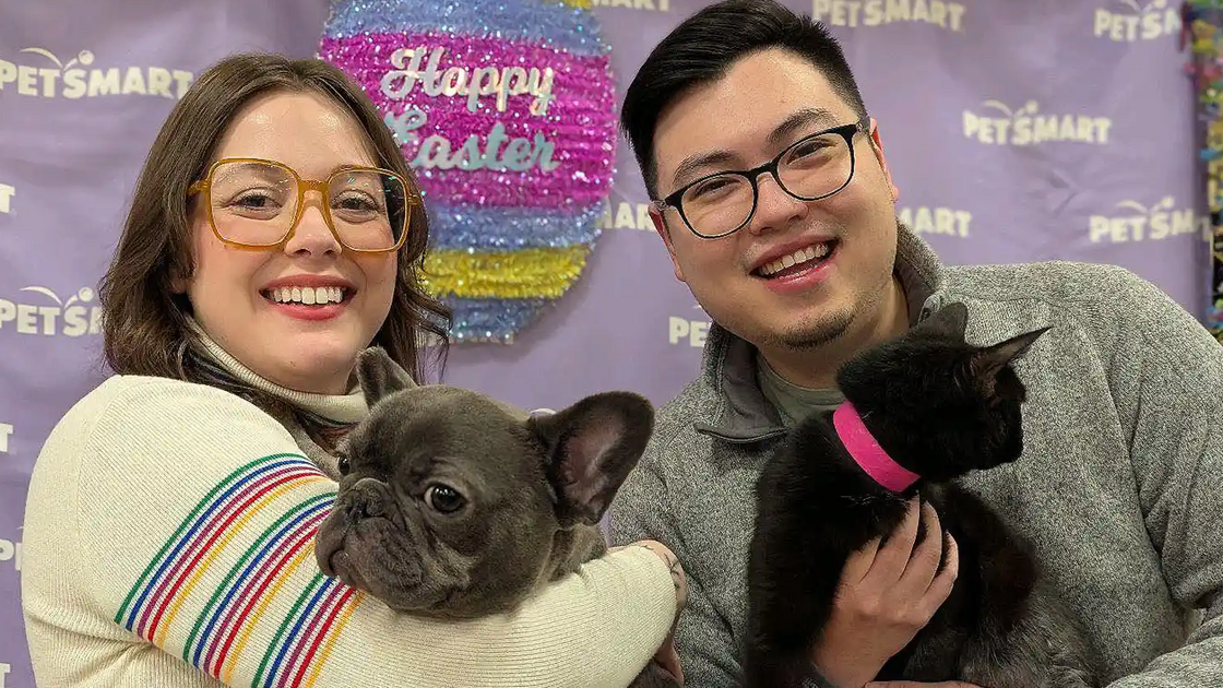 O 'match' perfeito! Cadela e gata com 3 patas tornam-se melhores amigas e são adotadas juntas