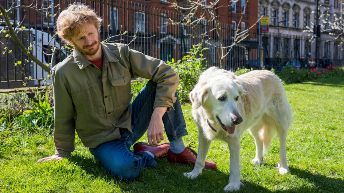 Este professor britânico diz que não suporta cães. E isso está a dificultar a sua vida amorosa