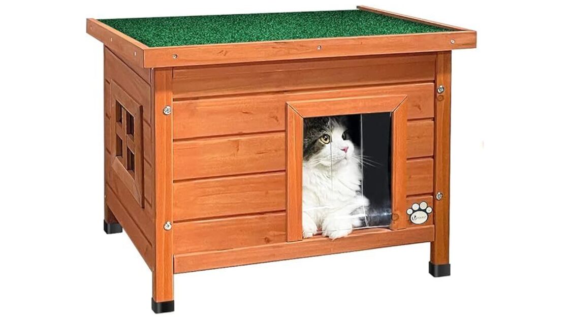 Gato numa casota de madeira com telhado verde