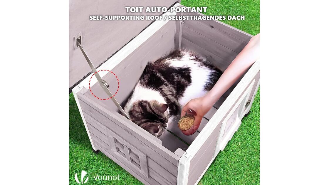 Gato dentro de casota com 