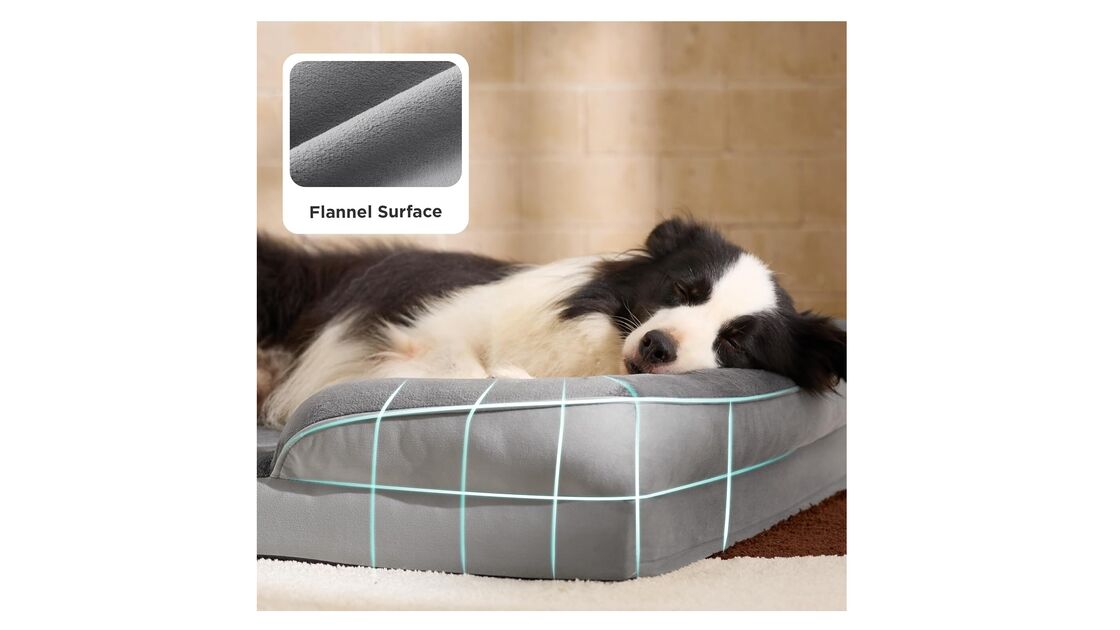 Cão dorme em cama ortopédica com superfície de flanela, ideal para o conforto e saúde de animais sénior