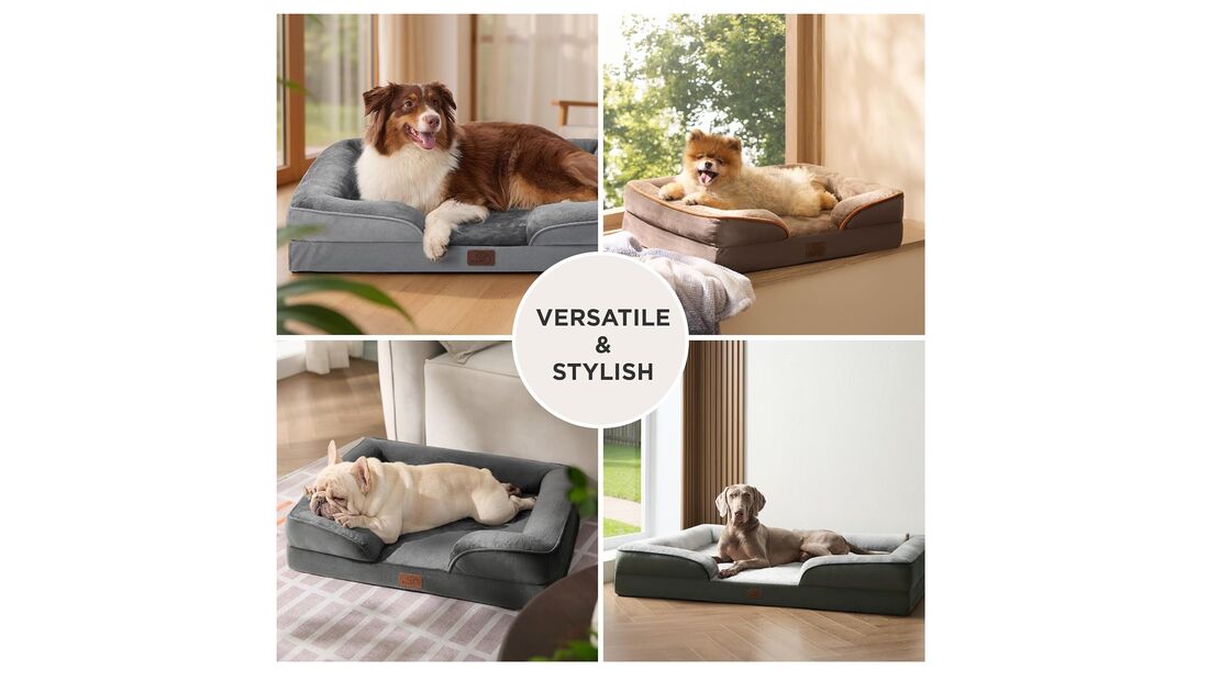Camas versáteis e elegantes para cães de todas as idades