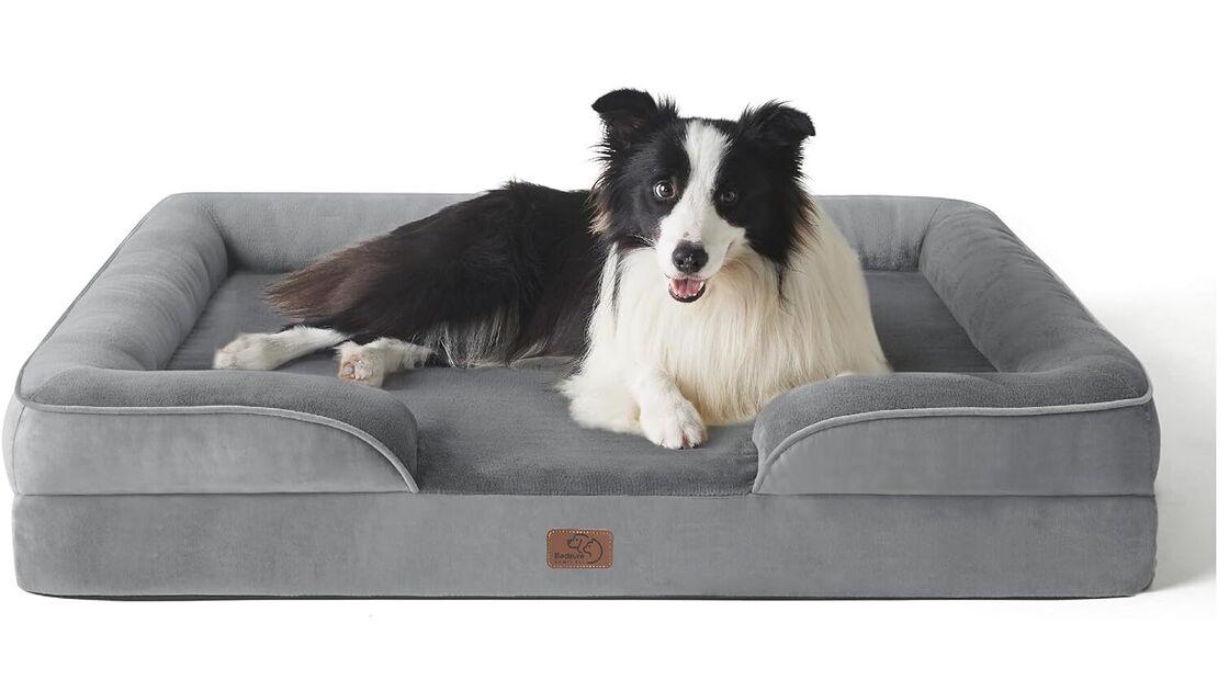 Cama ortopédica oferece conforto e saúde para cães sénior