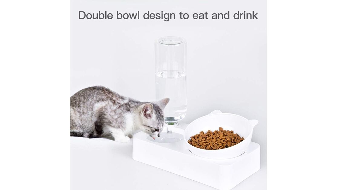 Design de tigela dupla para comer e beber