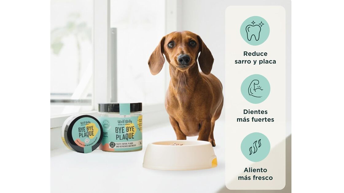Bye Bye Plaque, o produto para reduzir o tártaro, fortalecer os dentes e refrescar o hálito do seu patudo