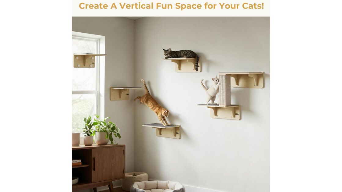 Crie um espaço divertido vertical para os seus gatos com prateleiras