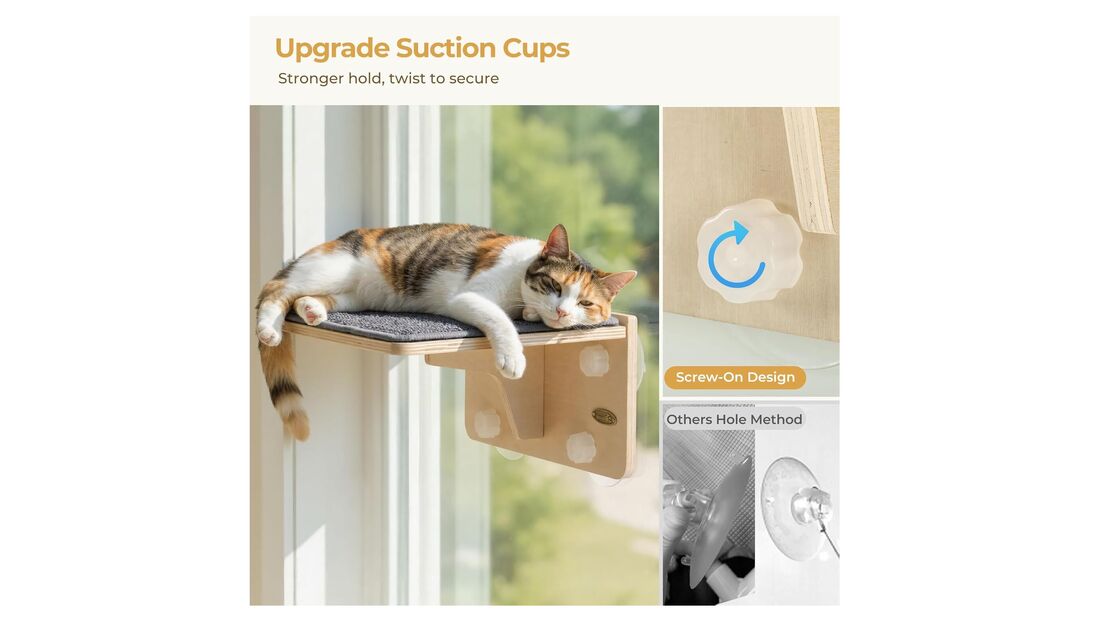 Gatos adoram esta prateleira com ventosas que se fixam à janela