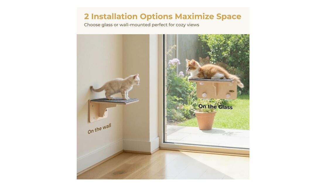 Opções de instalação maximizam o espaço para gatos com vistas acolhedoras