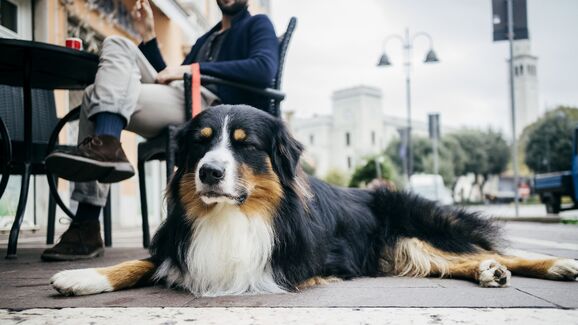 BBC debaixo de fogo após peça sugerir o fim dos espaços 