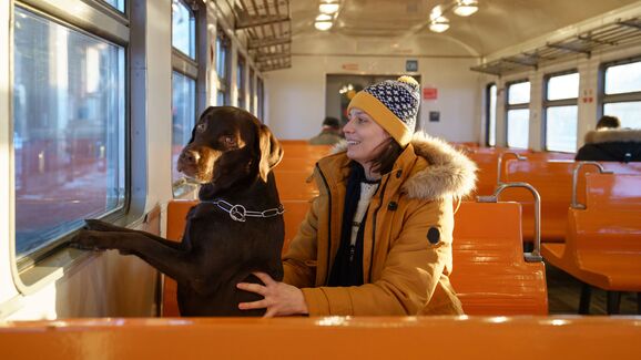 Vai viajar pela Europa? Atenção às novas exigências para o transporte de animais