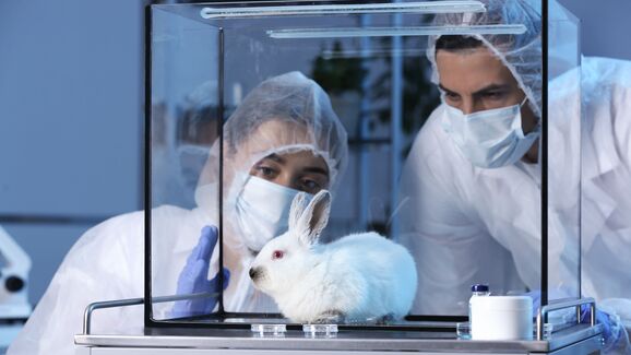 Ciência sem cobaias! Relatório da UE revela redução do uso de animais em experiências científicas