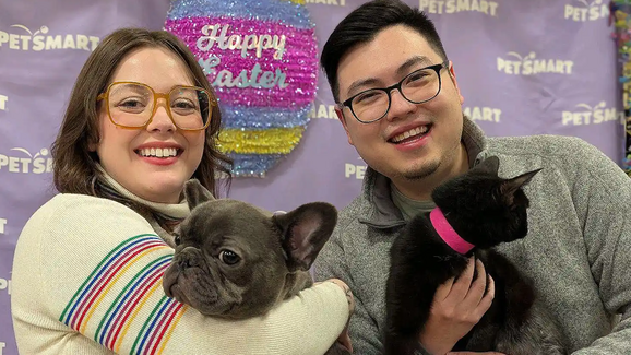 O 'match' perfeito! Cadela e gata com 3 patas tornam-se melhores amigas e são adotadas juntas