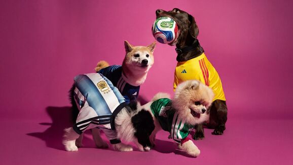 Neste Mundial, todos vão estar vestidos a rigor. Até os patudos aí em casa!