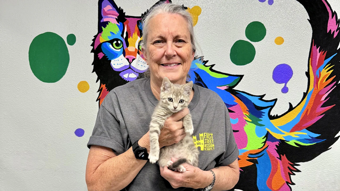 Elmer, gatinho resgatado no Texas, encontra família após ser preso num balde de cola