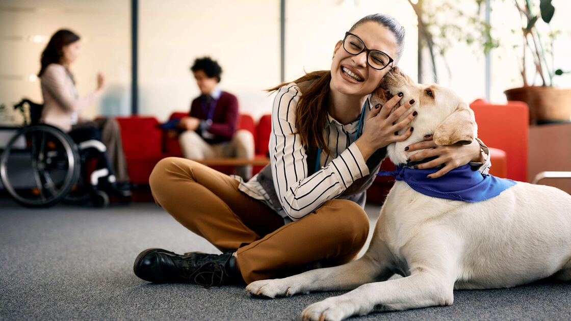 Mais um passo no bem-estar dos doentes! Hospital de Cascais aposta em terapia com animais