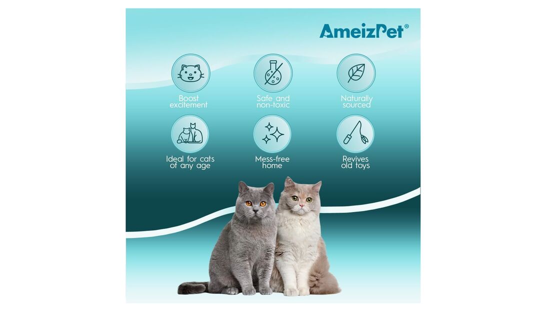 AmeizPet oferece produtos seguros para gatos de todas as idades, aumentando a sua alegria