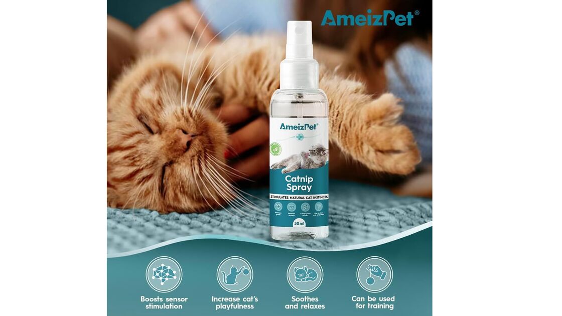 Spray de erva-dos-gatos AmeizPet estimula os instintos do seu gato