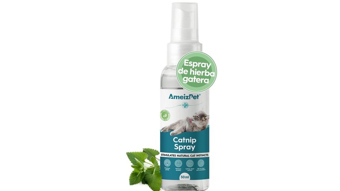 Spray de erva gateira estimula o instinto natural do gato