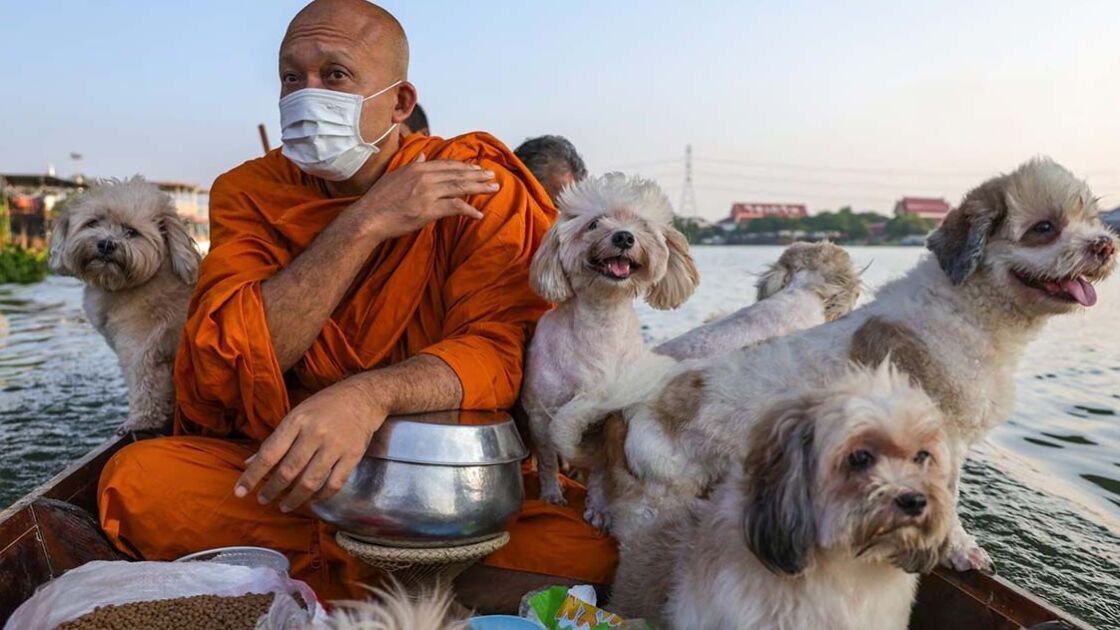 Uma verdadeira inspiração! Monge budista encanta o mundo ao viajar diariamente na companhia dos seus 12 cães