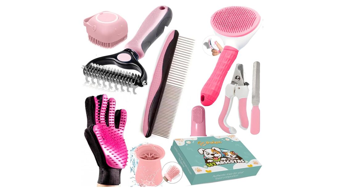 Essencial para cães e gatos: escova de pelo, corta-unhas e higiene