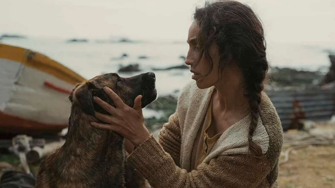 Yuri, a cadela resgatada que conquistou Cannes, vence prémio Palm Dog