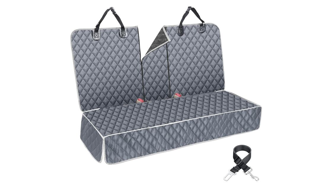 Prepare o carro para viajar com o seu cão, garantindo conforto e segurança.
