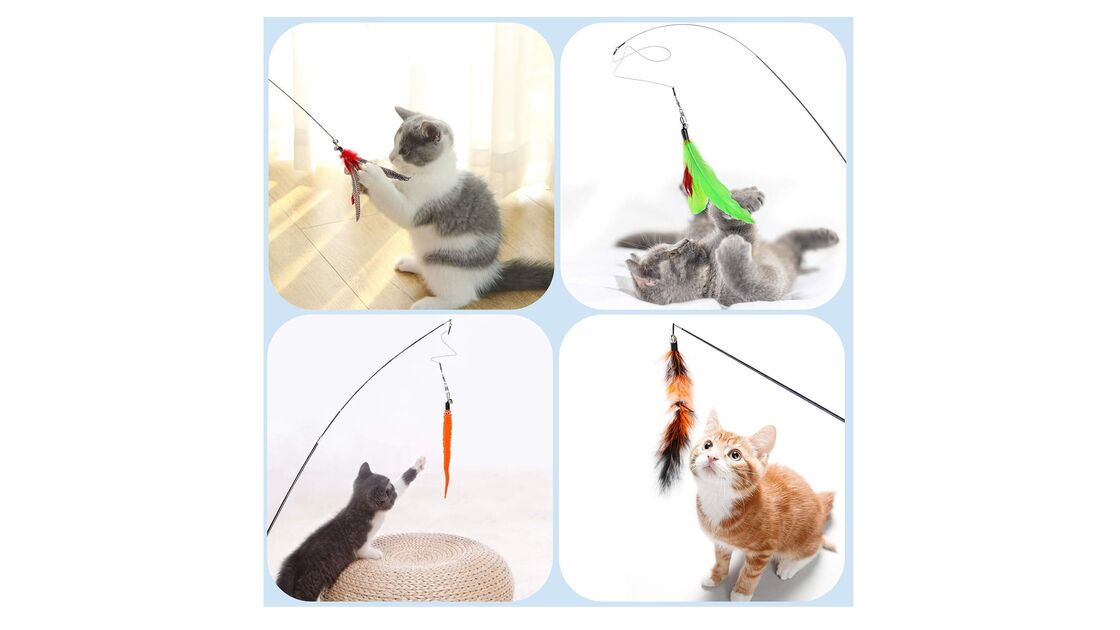 Gatos brincam e exercitam-se com brinquedos que estimulam o instinto e combatem o stress