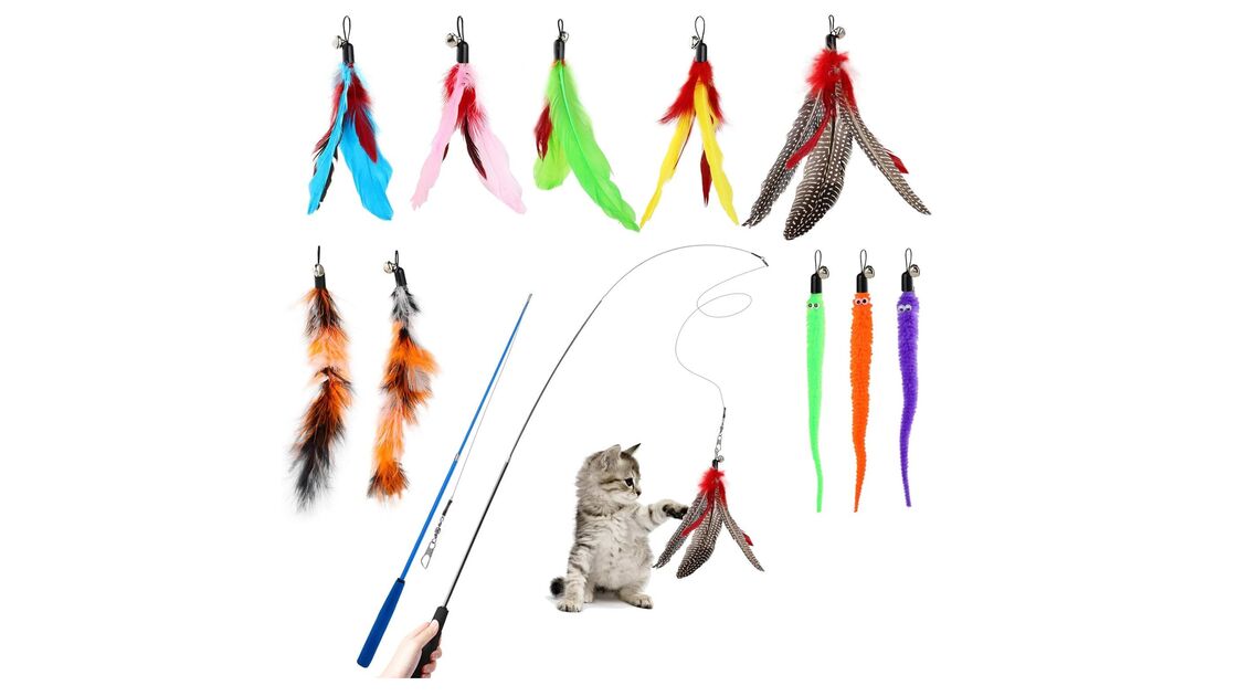 Gatos ativos e felizes com brinquedos que estimulam o instinto e combatem o stress