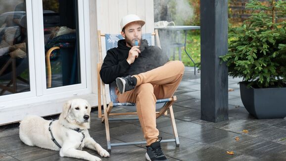 Fumar não prejudica apenas os humanos. Conheça os efeitos do tabagismo nos animais de companhia