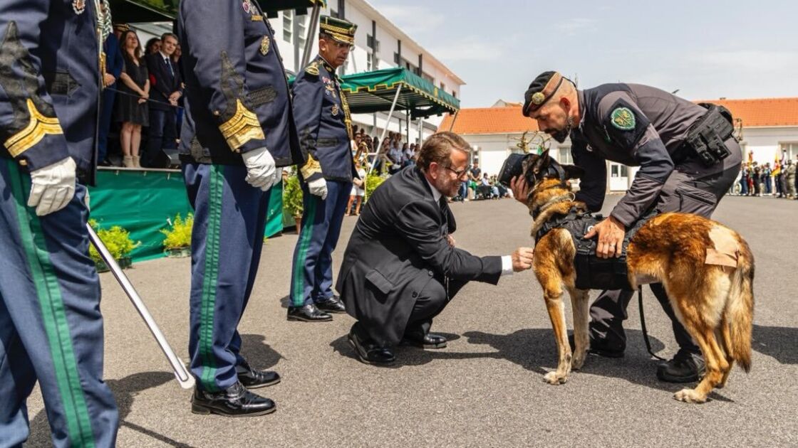 Depois de arriscar a vida em serviço, Vulcão é distinguido com medalha de mérito