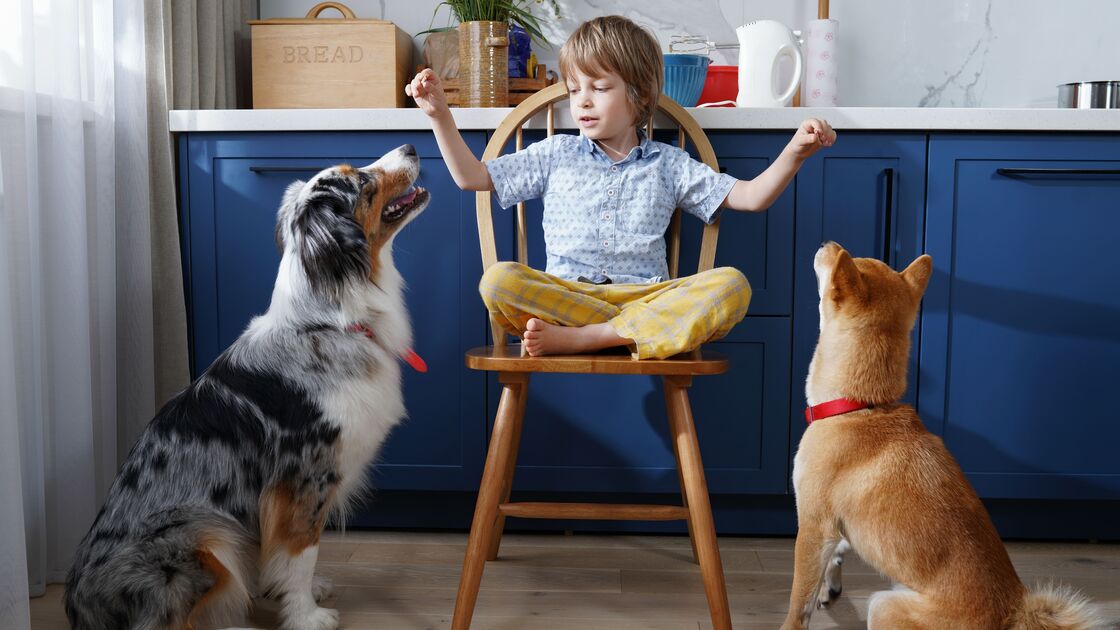 Feliz Dia da Criança! Conheça 5 benefícios de crescer com animais em casa