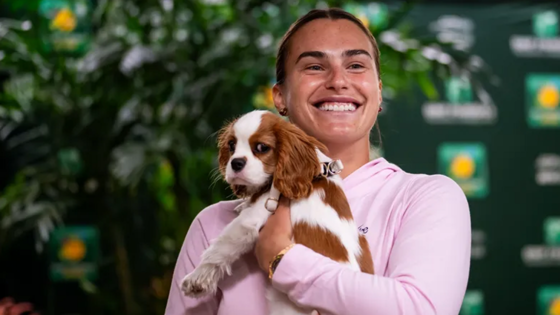 Parece que nem todos os torneios são pet-friendly. Ao contrário do Roland Garros, Wimbledon vai manter a tradição sem animais